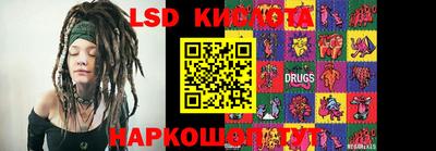 прущие грибы Новодвинск