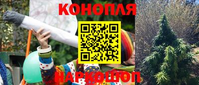 прущие грибы Новодвинск