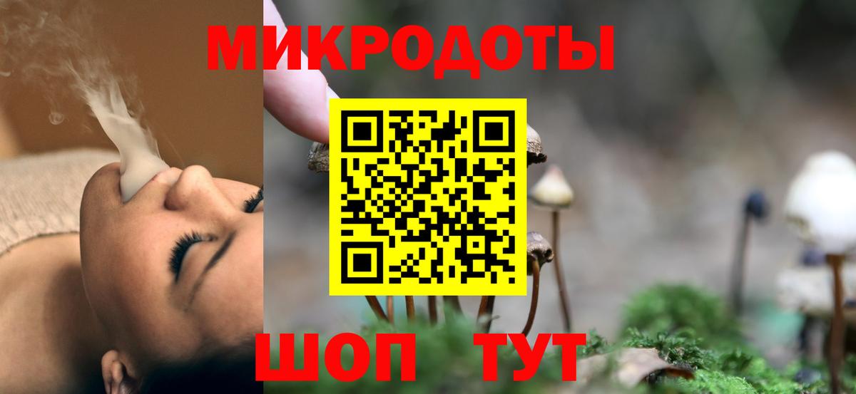 Псилоцибиновые грибы Cubensis  Вход с VPN  Сертолово 